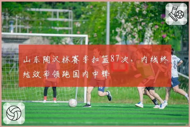 山东陶汉林赛季扣篮87次,内线终结效率领跑国内中锋