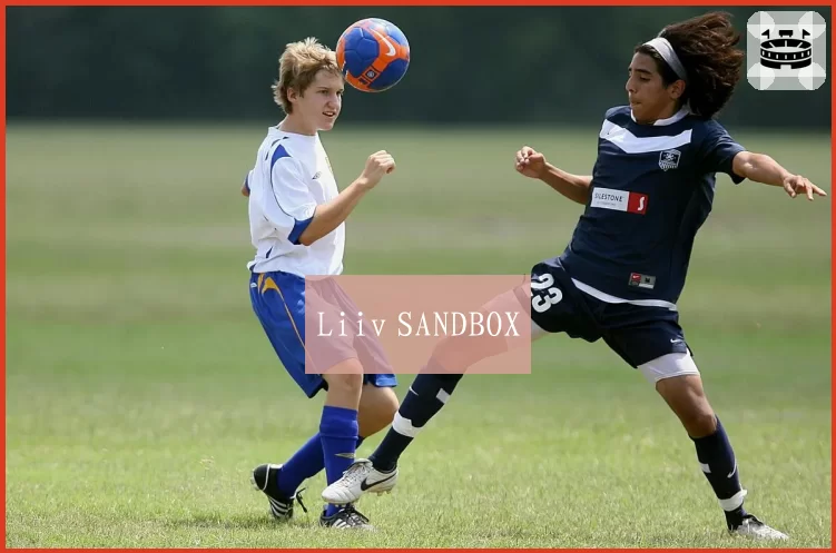 Liiv SANDBOX