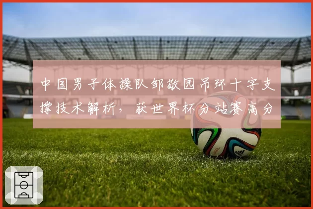 中国男子体操队邹敬园吊环十字支撑技术解析,获世界杯分站赛高分