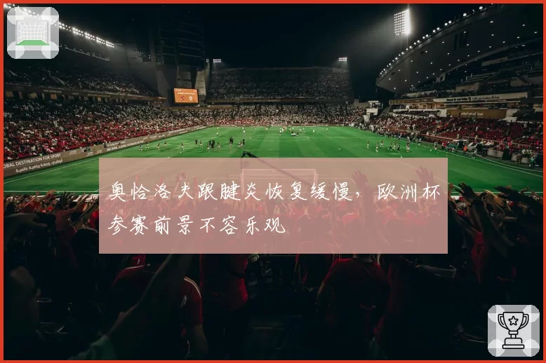 奥恰洛夫跟腱炎恢复缓慢，欧洲杯参赛前景不容乐观